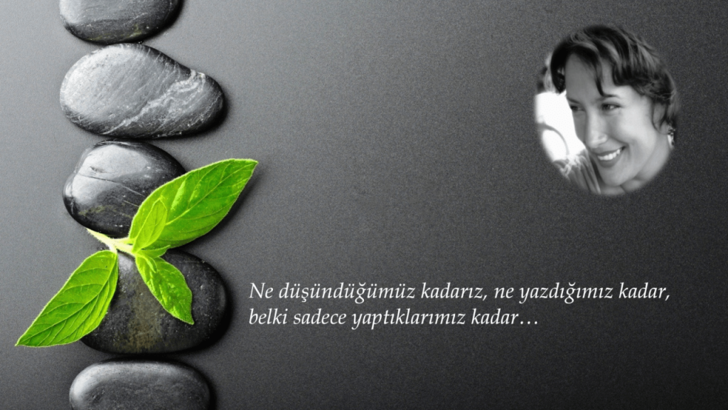 Konuşmada Şibumi - Uzun Lafın Kısası Kitap